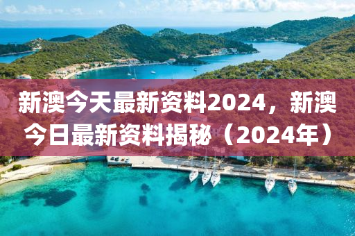 2024新澳精准资料免费，专业调查解析说明_OP55.65.43