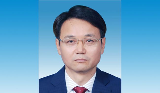 李如林最新职务及其职责与贡献概览