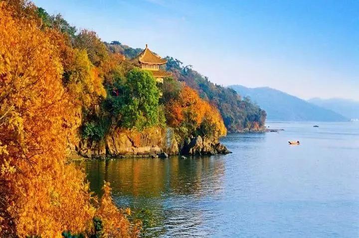 杭州最新政令揭晓，塑造未来城市的宏伟蓝图