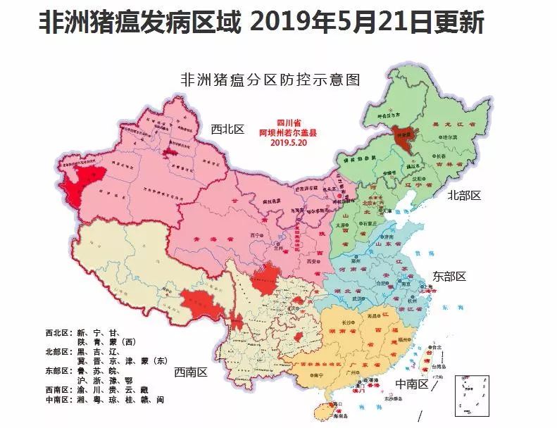 全球猪瘟最新疫情态势及应对策略解析