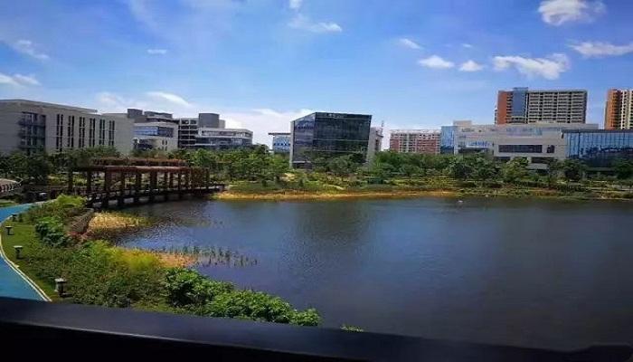 海南楼市最新动态深度解读