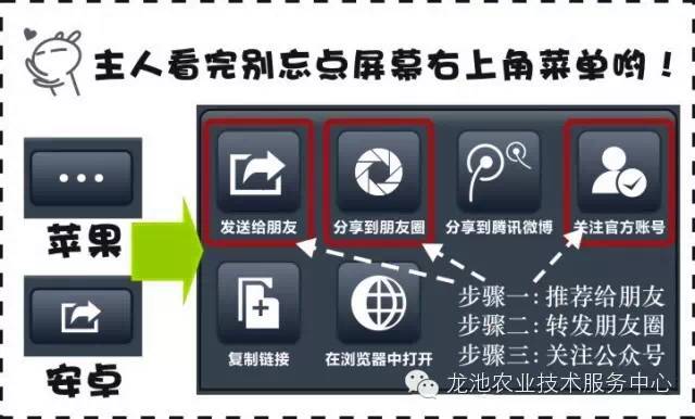 2024新奥马新免费资料,2024新奥马最新信息解析_梦幻版7.61