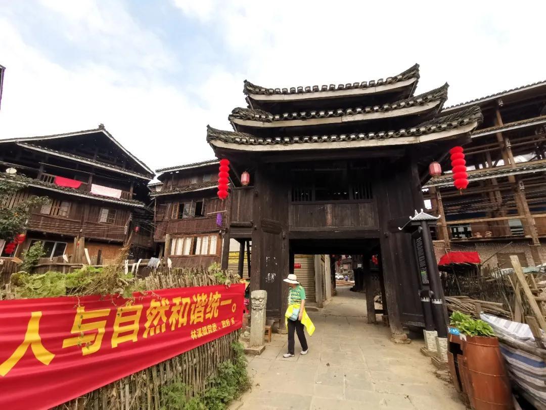 母上攻略最新深度解析与全面指南，实用指南助你轻松掌握技巧！