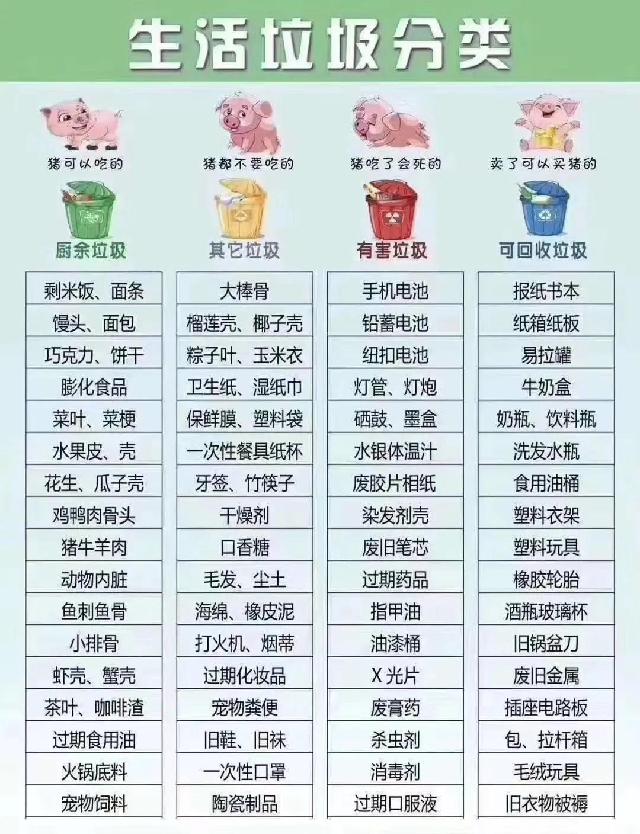最新垃圾分类图,数据分析驱动解析_特别版52.62.75