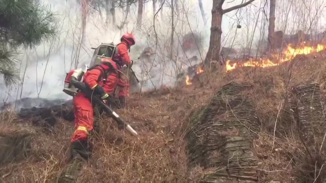 北京最新山火,实地评估数据策略_pro44.47.52