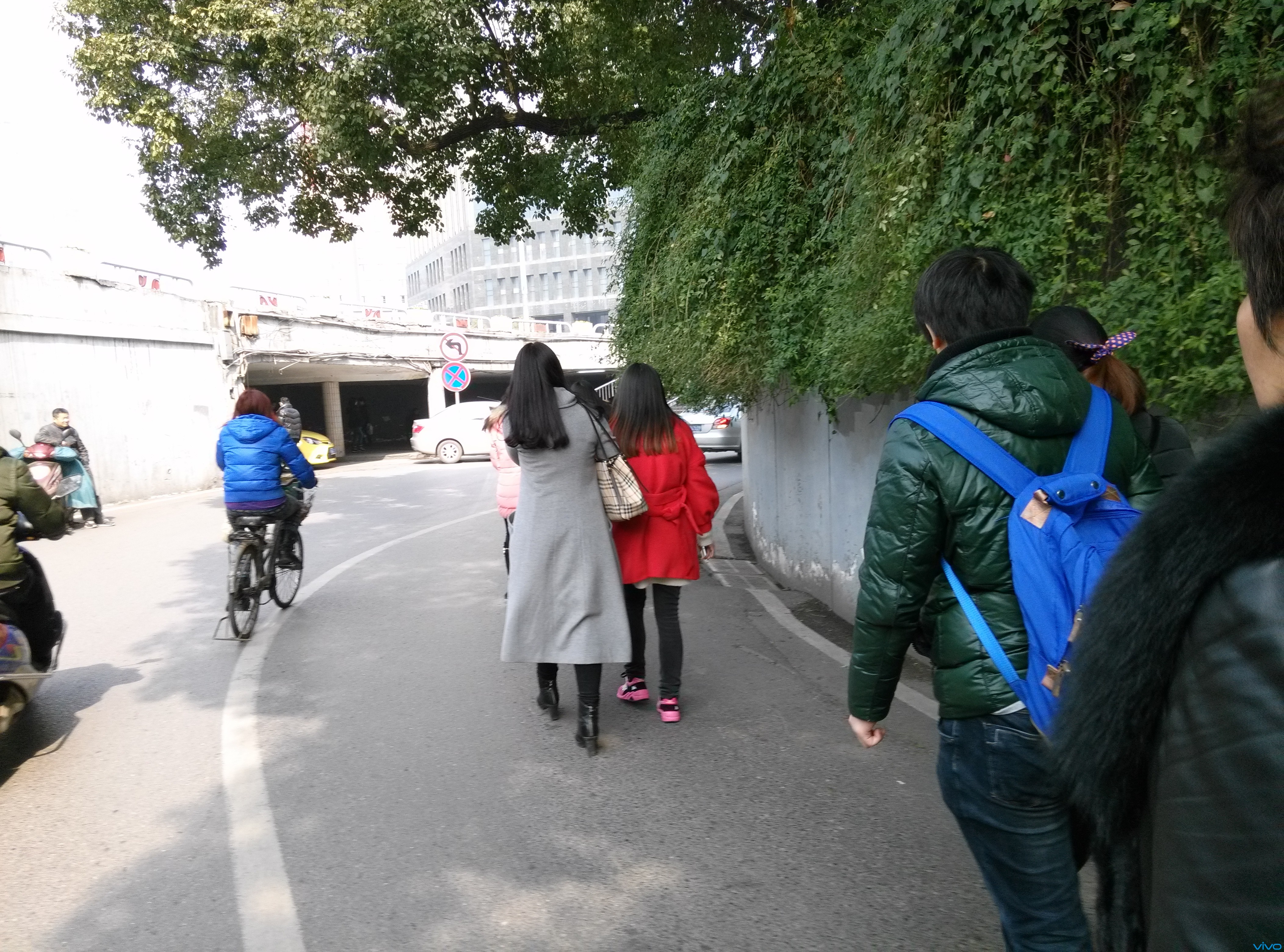 草遛最新社区2017,实效策略解析_桌面款81.82.88