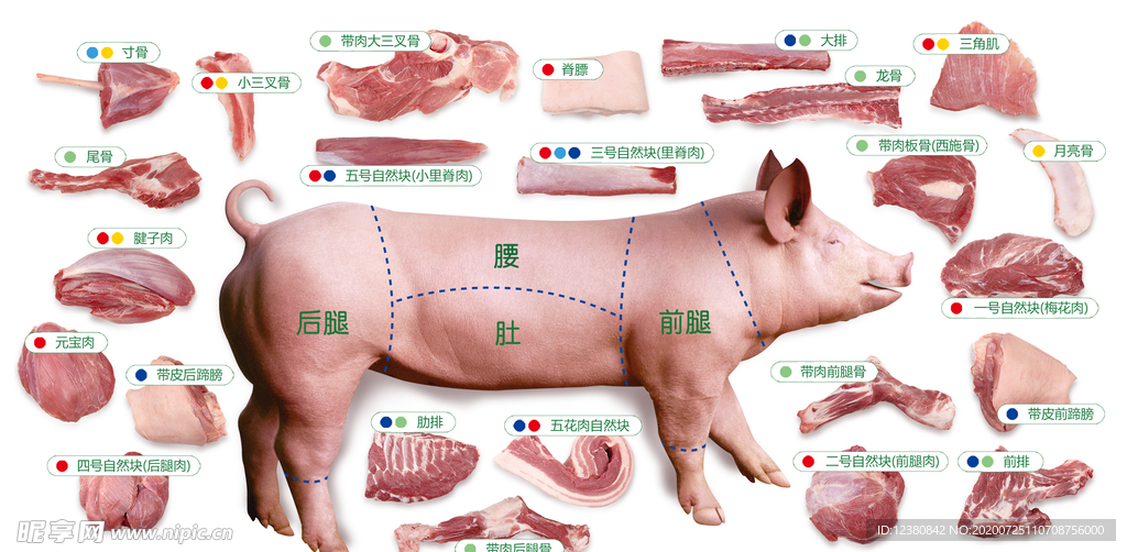 最新猪肉分割视频教程,最新成果解析说明_复刻版74.80.16