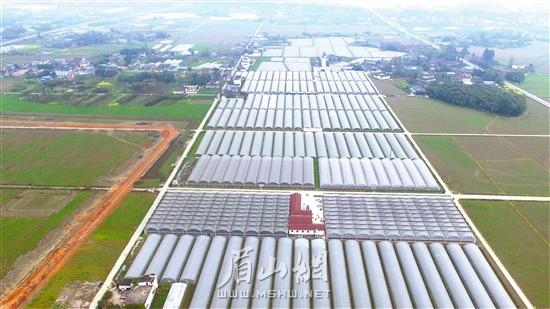 眉山崇礼开发最新新闻,最佳选择解析说明_2D64.20.71