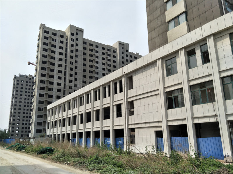 嘉祥大顺花园最新情况,前沿解答解释定义_静态版83.45.20