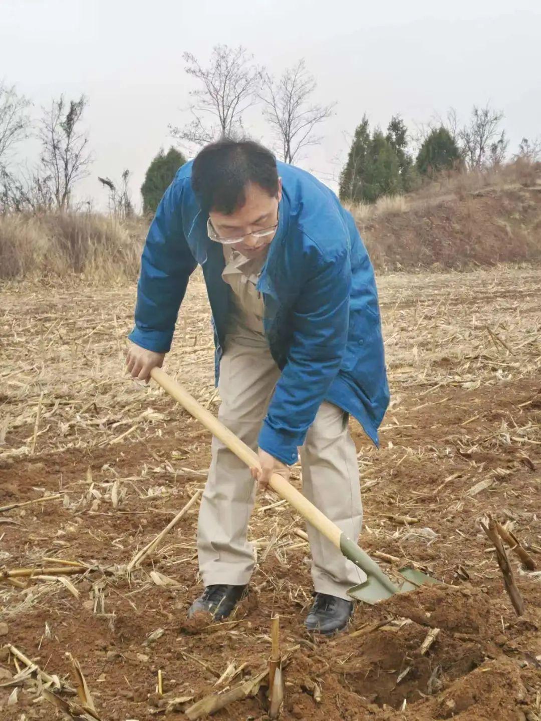 赵庄电厂最新消息,数据整合计划解析_2D55.68.54