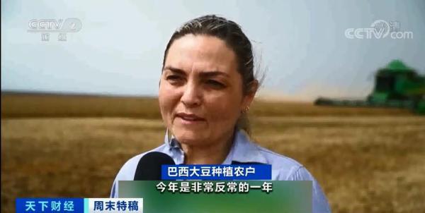 美国进口大豆最新价格,科学解答解释定义_DP98.36.22